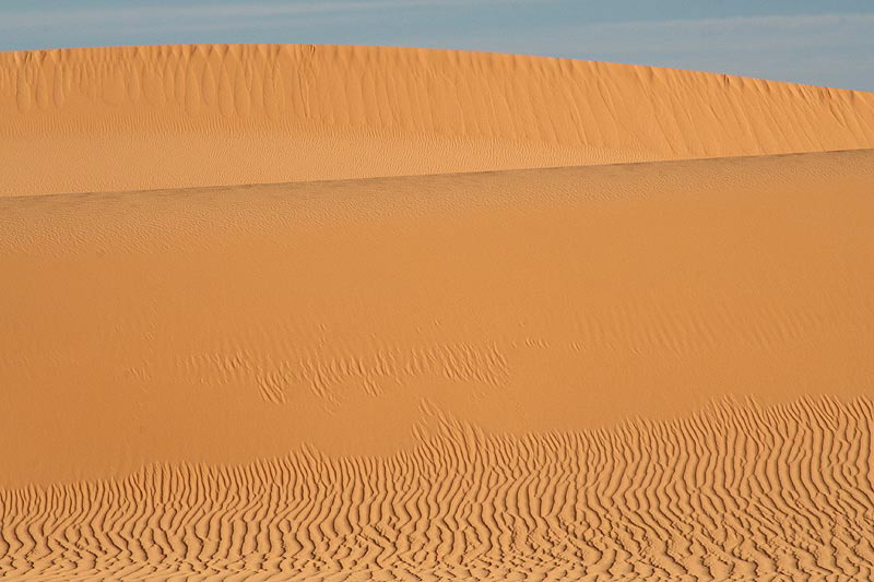 IMG_0450